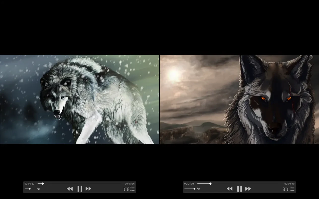 zFuse Pro screenshot 1